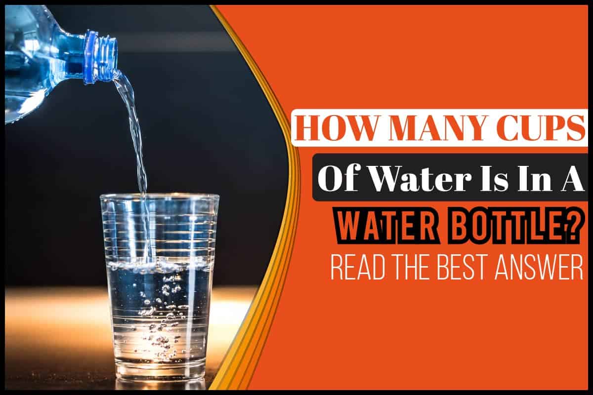 how-many-cups-of-water-is-in-a-water-bottle-read-the-best-answer